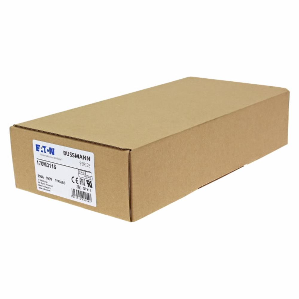 170M3116 Быстрый предохранитель 250A 690V 1*KN/80 AR UC
