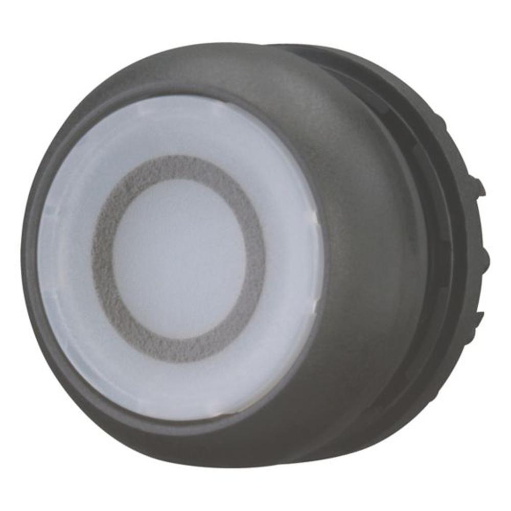 M22S-DL-W-X0 Головка кнопки с подсветкой, без фиксации, цвет белый с обозначение О, черное лицевое кольцо